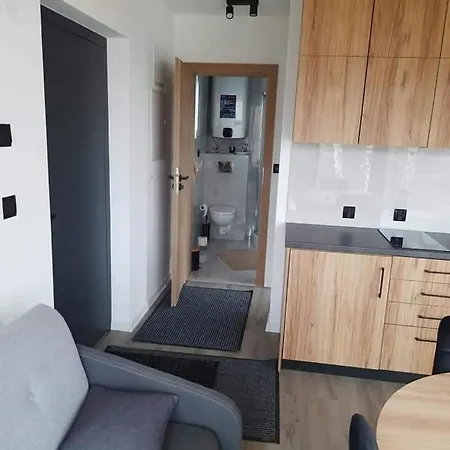 Zdrój 20metrów Od Stoku Apartamento